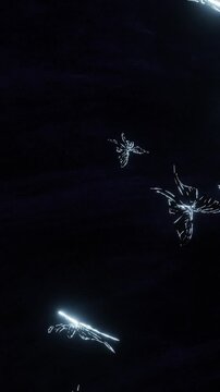 astral era [ eternal butterflies ]