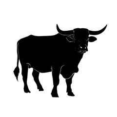 Black silhouette drawing of a fierce bull, vector illustration, white background