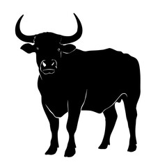 Black silhouette drawing of a fierce bull, vector illustration, white background