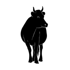 Black silhouette drawing of a cow, vector illustration, white background