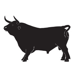Black silhouette drawing of a cow, vector illustration, white background