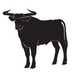 Black silhouette drawing of a cow, vector illustration, white background