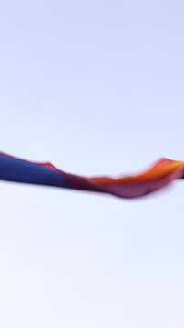 vertical: dynamic close-up of waving pride flag