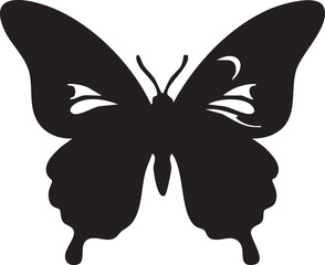 Fototapeta premium Ornate Black and White Butterfly