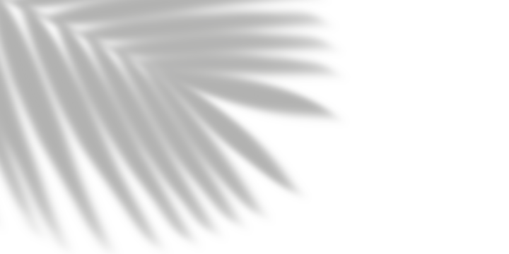 Leaf shadows isolated on transparent background 