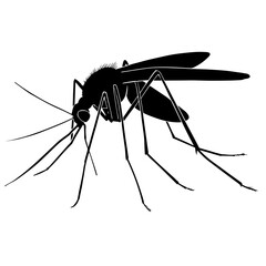 Black silhouette of an insect, vector illustration on a white background