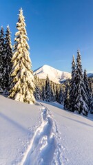 Snowy Mountain Landscape with Footprints, Trees, and Clear Sky