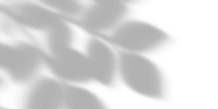 Shadow, light, darkness, cast shadow, drop shadow, overlay effect, mystery, abstract, background, isolated, silhouette, contrast, dramatic, sunlight