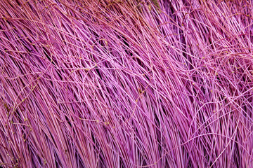 fine, light purple fibers with a dense, random texture.