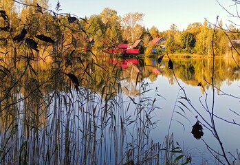 autumn landscape with lake