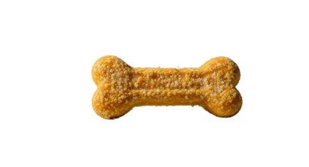 Dog Bone Shaped Snack in Studio