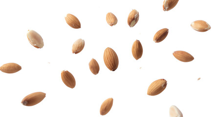 Floating Almonds on a White Background