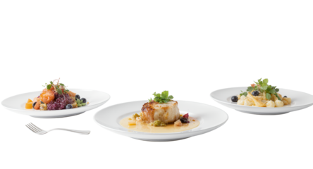 Gourmet Dishes on White Plates for Culinary Themes