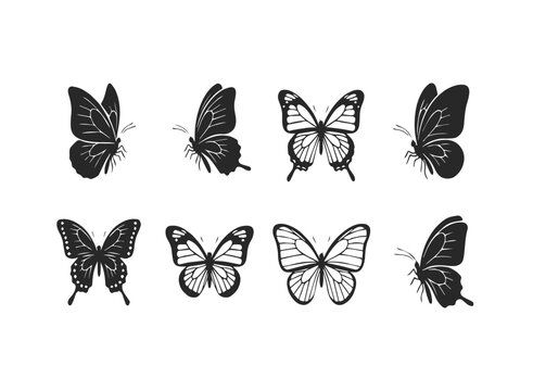 Modern whisk illustration with vibrant color options