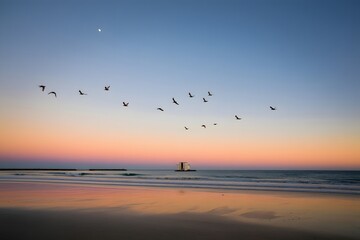 Fototapeta premium Birds flying over the ocean at sunset with beautiful colors in the sky and reflections