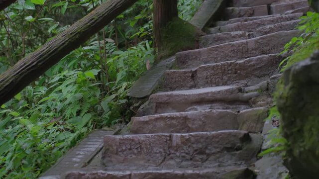 Wet stone steps and narrow mountain path