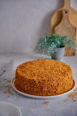 Honey cake on a white plate on a gray table