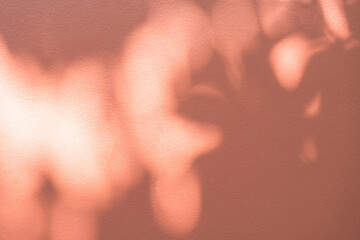 Shadow light beige brown color overlay wall sunlight room interior background well design display...