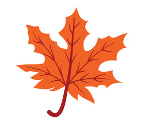 Naklejka premium A stylized illustration of a single, deeply lobed orange leaf, possibly a maple leaf, with a brown stem and veins, isolated on a white background, representing autumn
