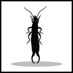 Earwig silhouette, Double Earwig set box icon, Earwig illustration, silhouette, set icon, silhouette, Earwig icon