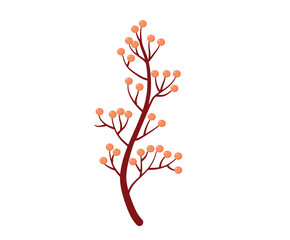 A detailed illustration of a branching sprig with numerous small orange berries, isolated on a white background, perfect for autumn themes