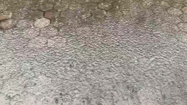 Gentle Rain Falling on Wet Ground. Peaceful Nature Weather Background