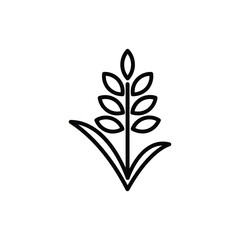 A black outline icon of a wheat stalk with leaves at the base and seed heads along the stem. line icon editable stroke.