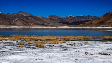 Turquoise Tso Kar salt lake at 4,530m in Ladakh's Rupshu Plateau, surrounded by salt flats and snow-capped peaks under blue skies, captured September 2025. High-altitude wilderness scene.