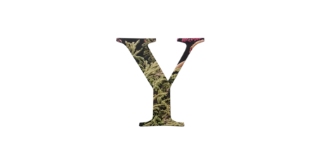 Letter Y with Natural Elements on White Background