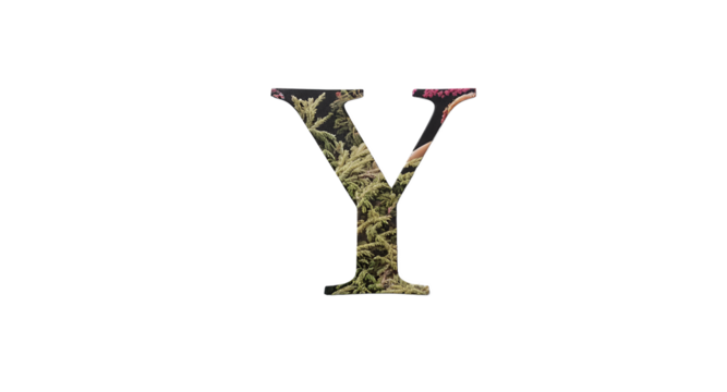 Letter Y with Natural Elements on White Background