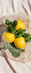 Fresh Yellow Lemons with Green Mint Leaves in Natural Sunlight Premium Authentic Food for Modern Lifestyle Marketing and Social Media Campaigns