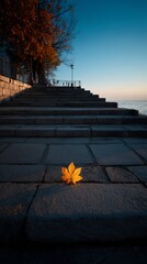 A solitary yellow maple leaf rests on the stone steps leading to the sea, bathed in the warm glow of the setting sun, creating a serene and contemplative scene