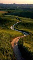 A winding dirt road meanders through the vibrant green fields of tuscany, italy, under the warm glow of the setting sun, creating a serene and picturesque landscape