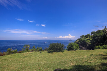 Fototapeta premium Beautiful blue ocean with a few trees in the background
