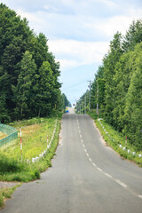 Long Winding Road Through Green Summer Forest