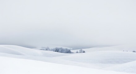 Serene Winter Landscape with Snow-Covered Rolling Hills and Distant Trees