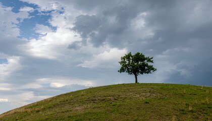 A lone tree stands on a hilltop in a cloudy sky