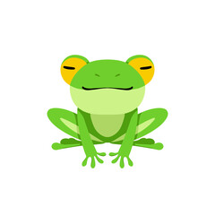 Green Frog illustration cute