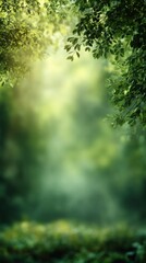 Fototapeta premium Blurred lush green forest with sunlight rays shining through trees, soft natural haze, cool refreshing atmosphere, dreamy bokeh blur, minimal clean composition with wide blank copy space for text.