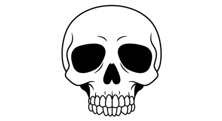 Hand drawn skull face front view detailed sketch of human cranium organic lines for artistic creative design and tattoo concepts isolated on white background