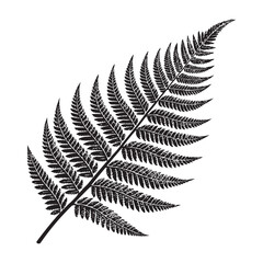Naklejka premium Fern Leaf Silhouette Isolated on White Background – Botanical Vector Illustration