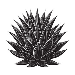 Black and White Agave Plant Vector Illustration – Decorative Succulent Design