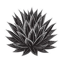 Black and White Agave Plant Vector Illustration – Decorative Succulent Design