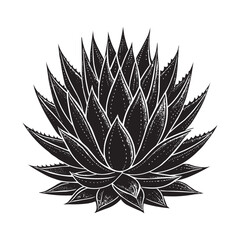 Black and White Agave Plant Vector Illustration – Decorative Succulent Design