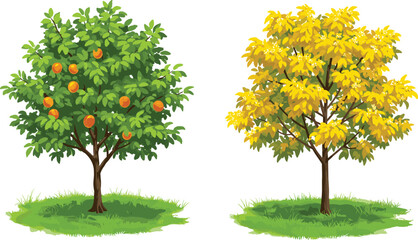 Orange fruit tree and yellow leaf tree on grassy patch, seasonal contrast, botanical diversity, nature illustration, foliage variation, landscape artwork