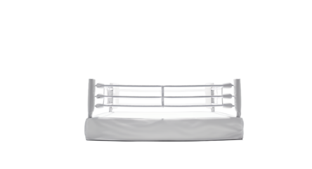 A Blank, White Boxing Ring Under a Spotlight