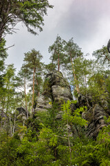 Fototapeta premium A tall rock rises amid a pine forest. Teplice Rocks, Czech Republic.