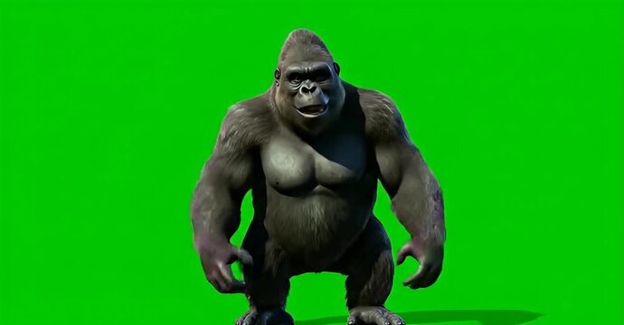 A gorilla standing in front of a green screen background.