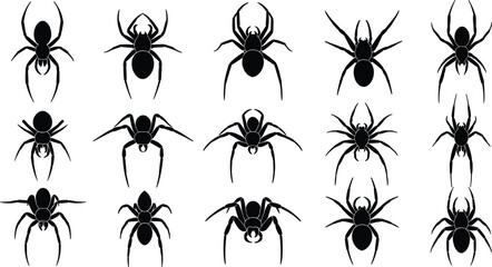 Black spider silhouette set with various shapes and leg positions for Halloween, insect studies, tattoo design, and spooky decoration