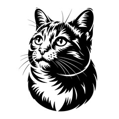Obraz premium Detailed black and white sketch of a curious domestic cat s face with expressive eyes looking upwards isolated on white background isolated on transparent background